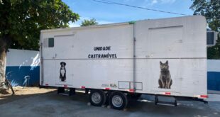 Secretaria de Proteção Animal disponibiliza serviços gratuitos para cães e gatos com castração, consultas e higienização