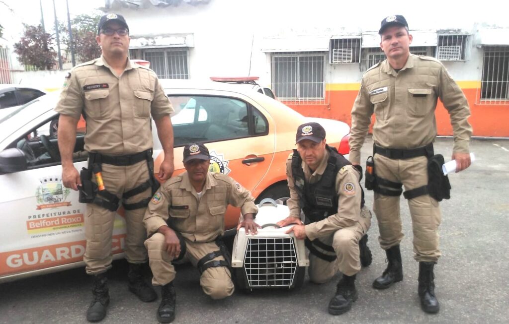 Guarda Civil Municipal de Belford Roxo comemora 24 anos de existência