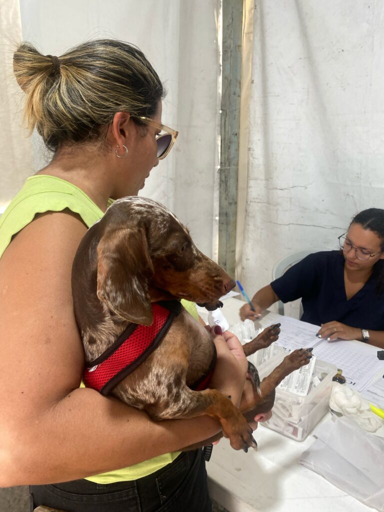 Castramóvel RJPET fica no bairro Barro Vermelho até o próximo dia 22