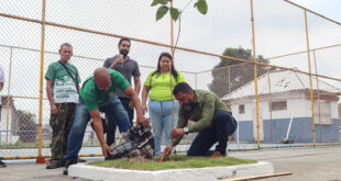 Projeto ‘Plantando o Amanhã’ celebra a Semana Mundial do Meio Ambiente com plantio e distribuição de mudas