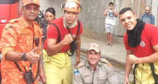 Parceria da Secretaria de Proteção Animais e Bombeiros resgata cão que caiu em bueiro no Nova Aurora