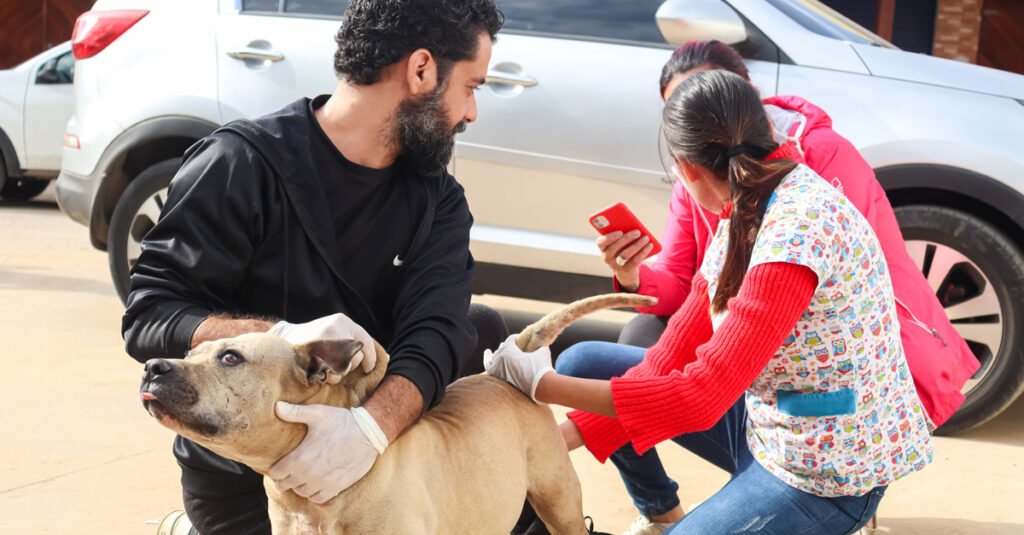 Com denúncias do Disque - Canella, Polícia Civil e Secretaria de Proteção Animal resgatam dois pitbulls por maus-tratos