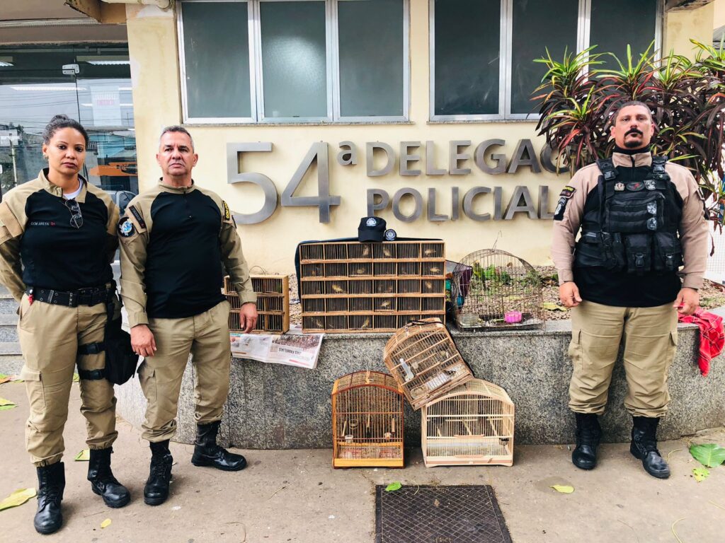 Guarda Civil Municipal apreende mais de 100 aves silvestres na Feira de Areia Branca, após denúncia do Disque Canella