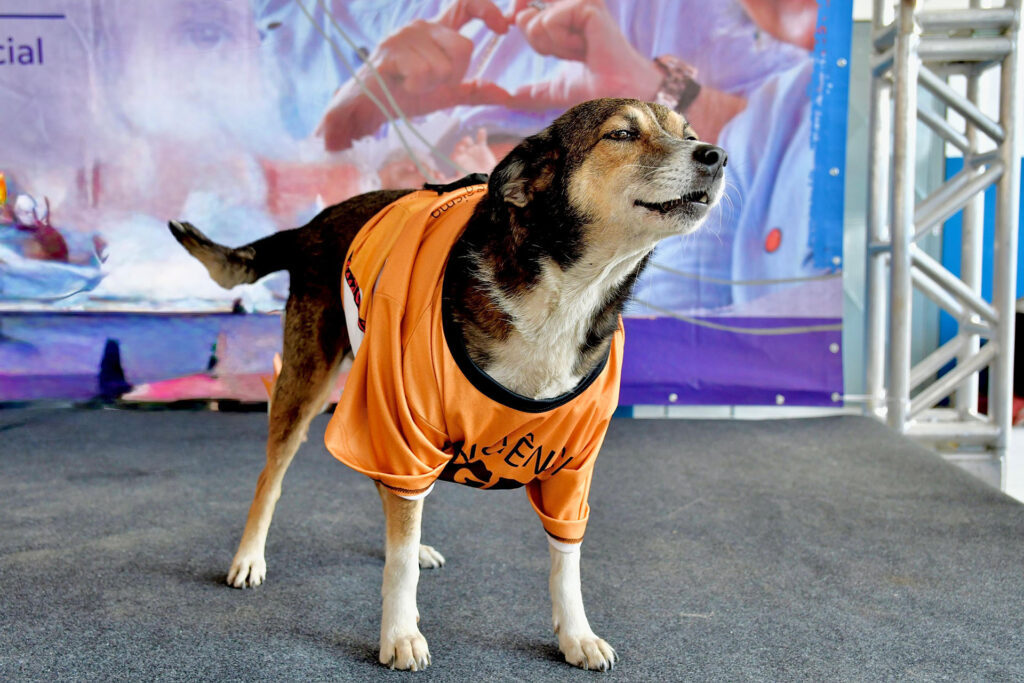 Belford Roxo promove evento sobre Consciência Negra