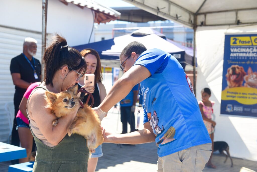 Coordenadoria de Vetores e Zoonoses vacina mais de mil animais no bairro Bom Pastor