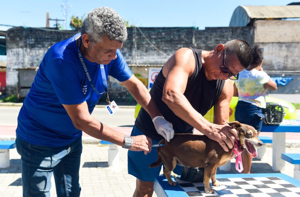 Secretaria de Saúde realiza ação de Combate à Dengue e Vacinação Antirrábica na Subprefeitura do Parque Amorim nesta quarta-feira