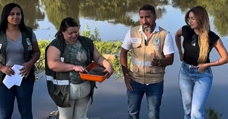 Secretaria de Meio Ambiente resgata cágado fêmea grávida presa em anzol que passa por cirurgia e é devolvida à natureza