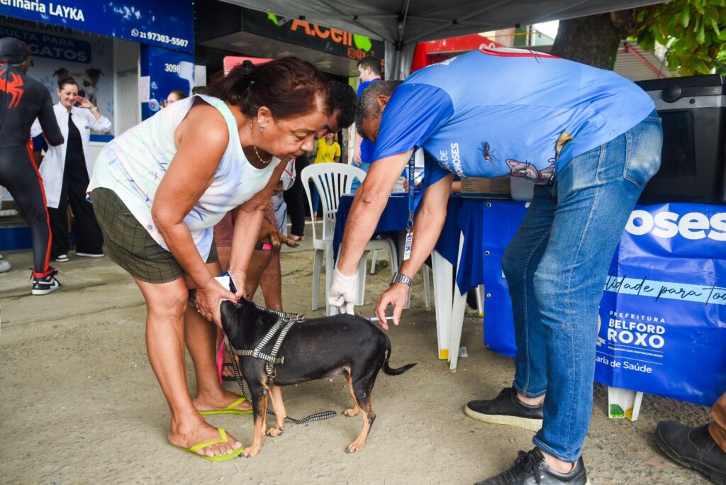 Grande ação da Secretaria de Saúde vacina mais de 400 animais em Santa Amélia