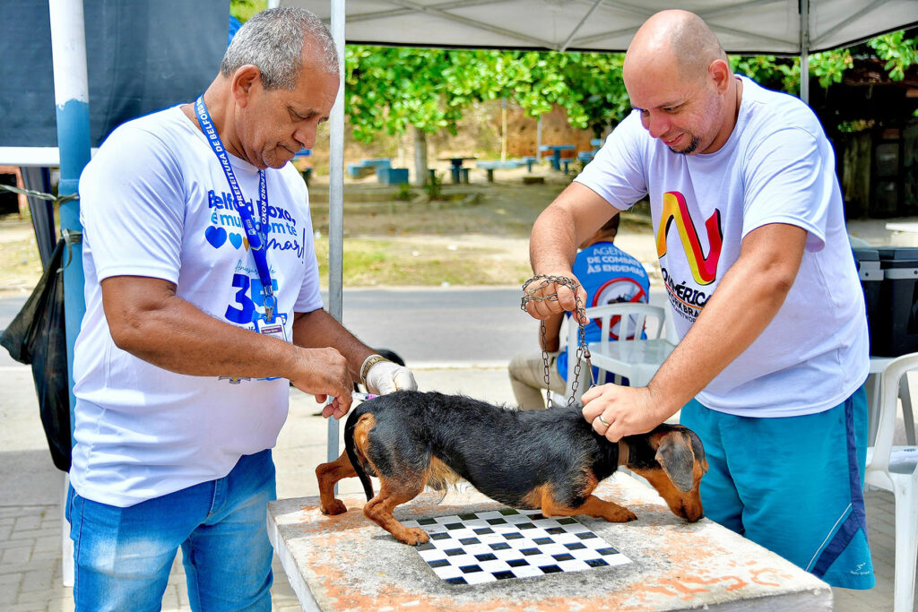 Ação em Nova Aurora leva vacinação antirrábica, combate a vetores e serviços de zoonoses neste sábado