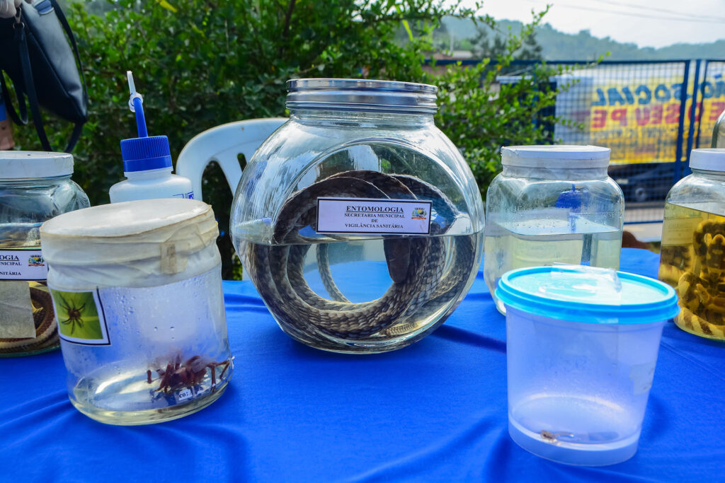 Mutirão em Belford Roxo vacina mais de 600 animais e reforça combate à dengue