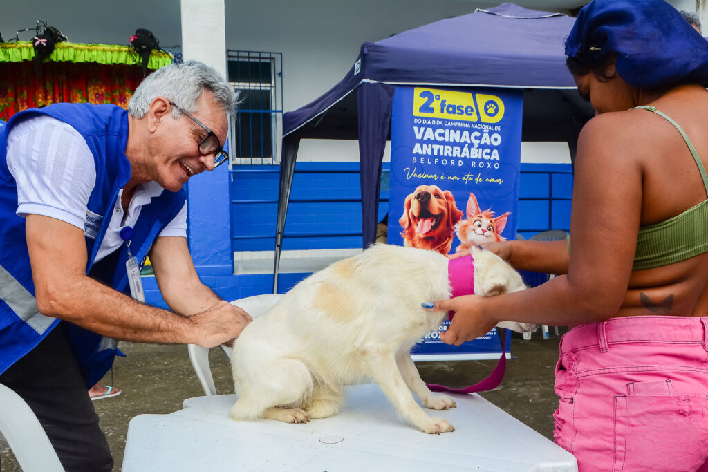 Mutirão em Belford Roxo vacina mais de 600 animais e reforça combate à dengue