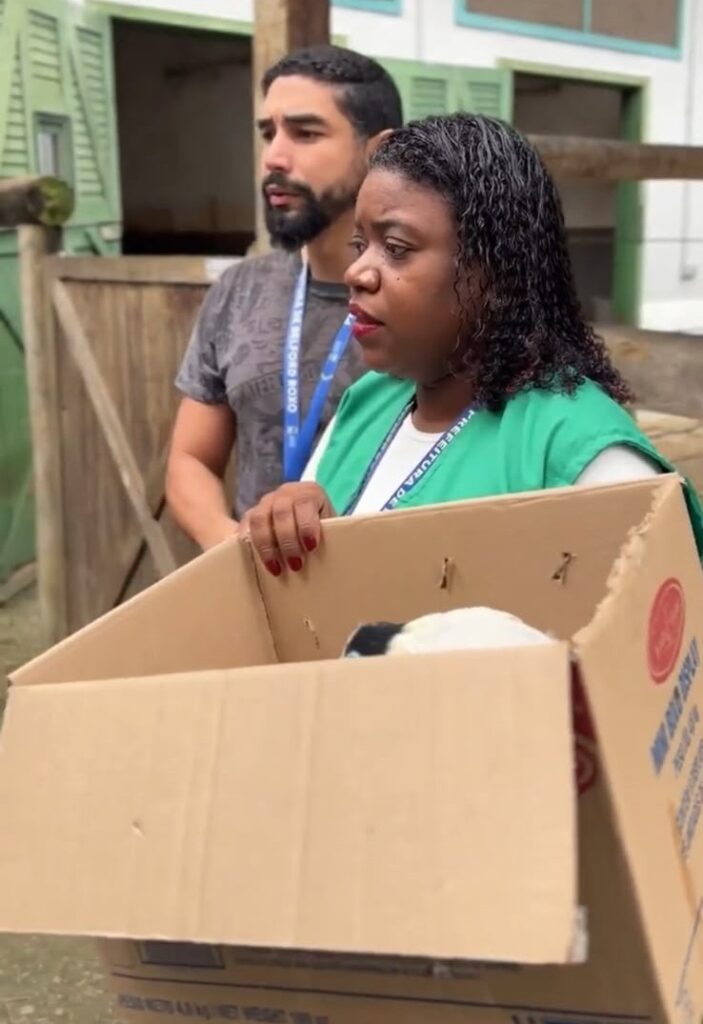 Secretaria de Meio Ambiente resgata Garça-Real debilitada e ferida e encaminha para reabilitação na Universidade Estácio na Região Sudoeste