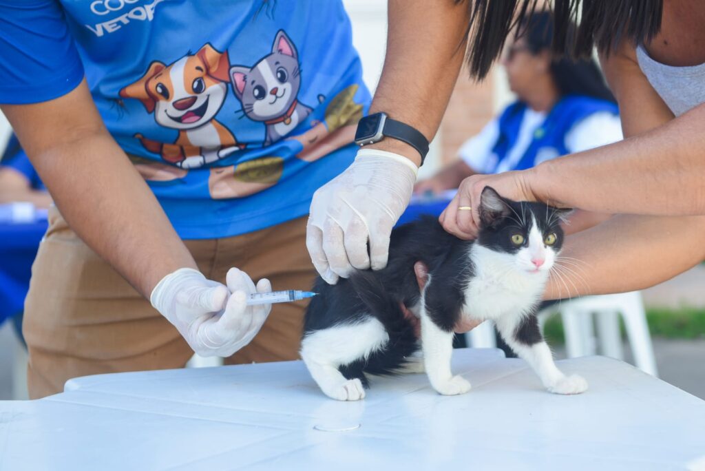 Ação no Parque Esperança leva vacinação antirrábica, combate a roedores e ao mosquito Aedes aegypti e serviços de zoonoses neste sábado