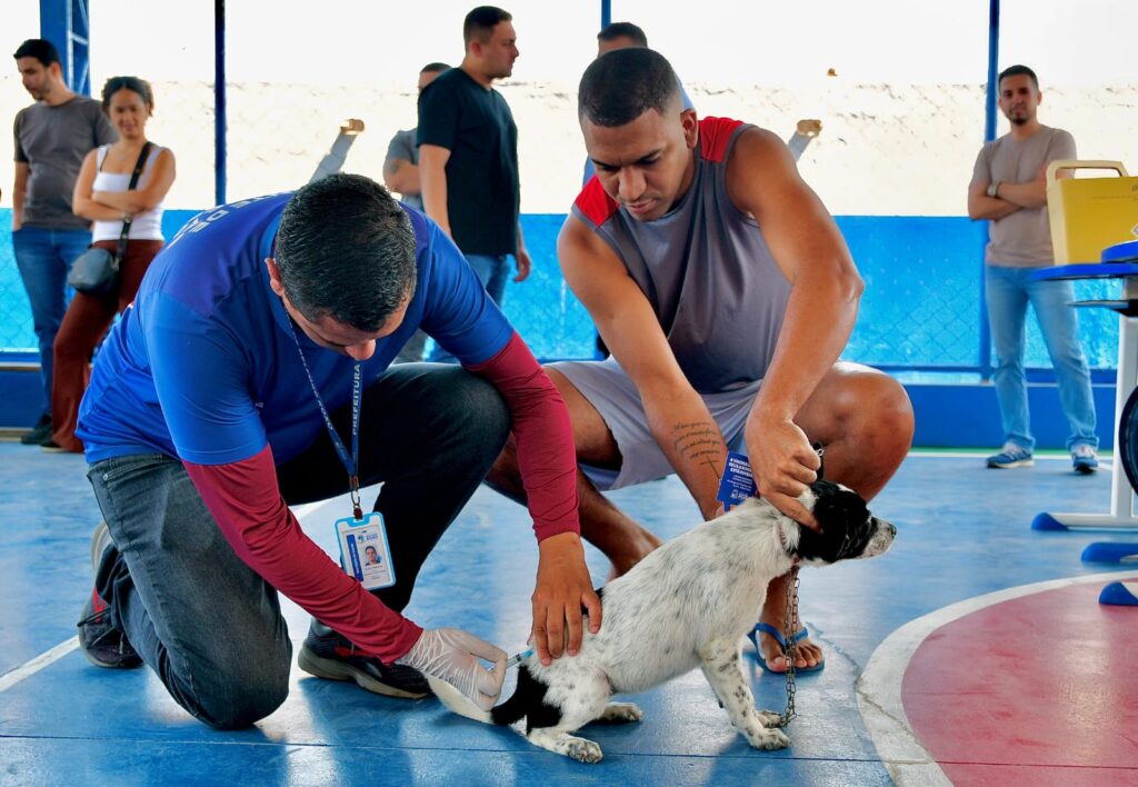 Belford Roxo promove o ‘Dia D de Vacinação Antirrábica’ para cães e gatos em 11 pontos neste sábado