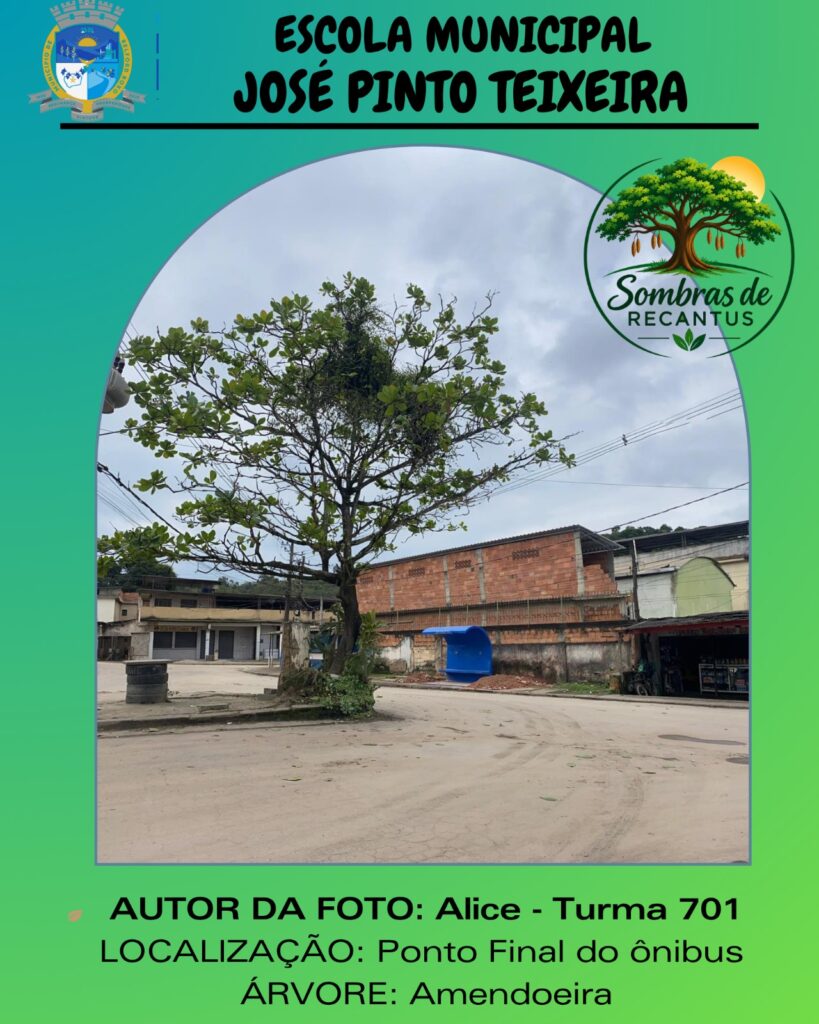 Escola José Pinto Teixeira prepara semana de comemorações pelo Dia da Árvore
