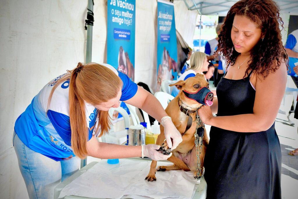 Belford Roxo promove ação de saúde, controle de zoonoses e vacinação antirrábica no Recantus neste sábado
